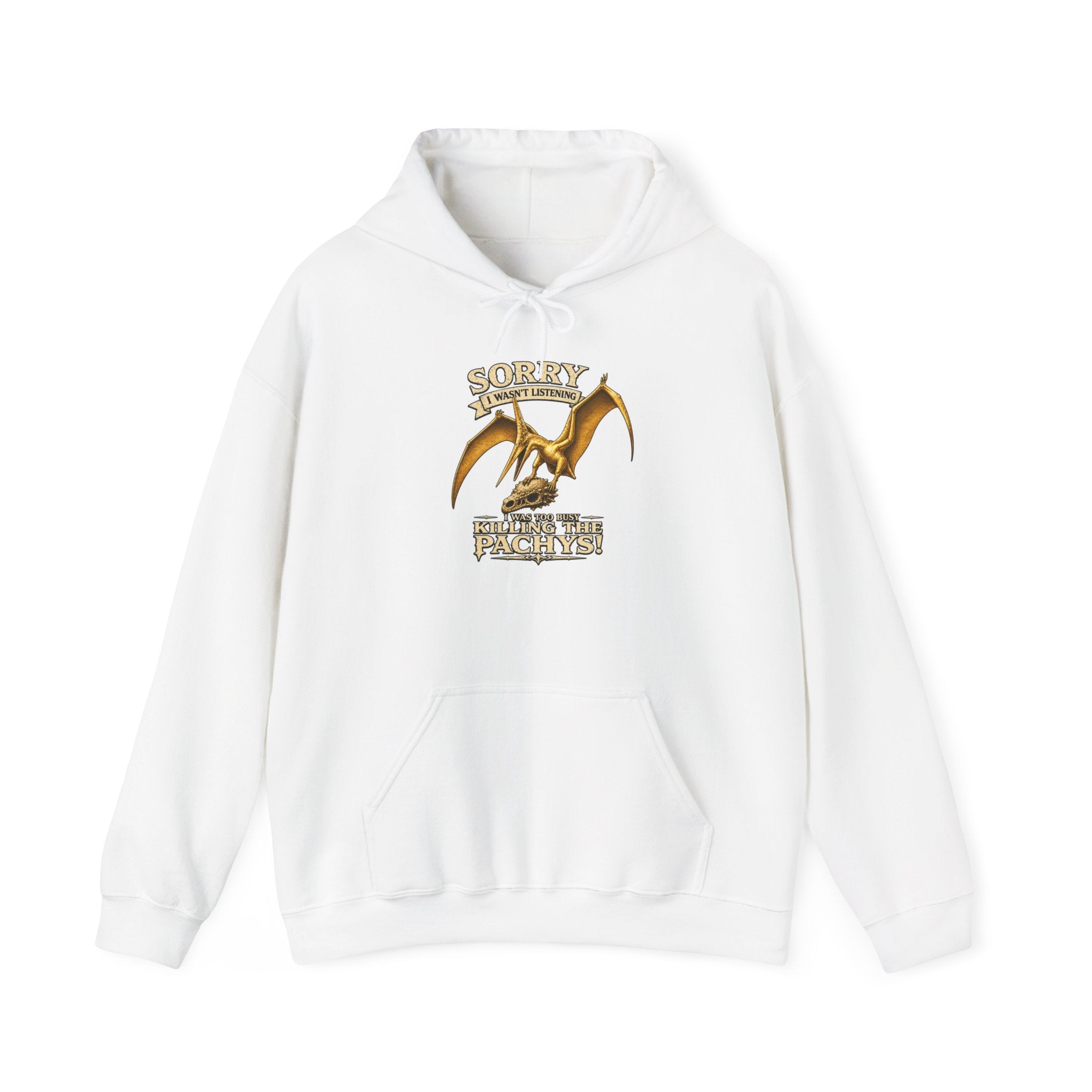 Sky Father Dragon Hoodie — "All Hail Sky Father" Graphic Hooded Sweatshirt