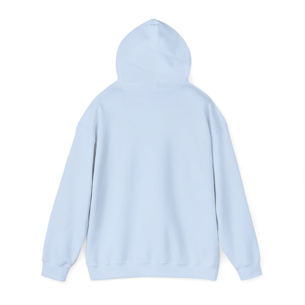 Hoodie — "Remember to... Kill the Pachys!" Pterosaur Graphic Hoodie