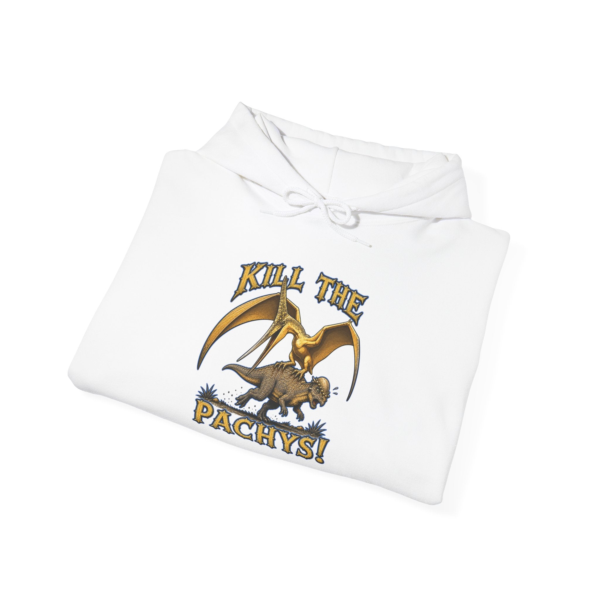 Sky Father Graphic Hoodie — "Kill the Pachys! / All Hail Sky Father!" Retro Dino Streetwear