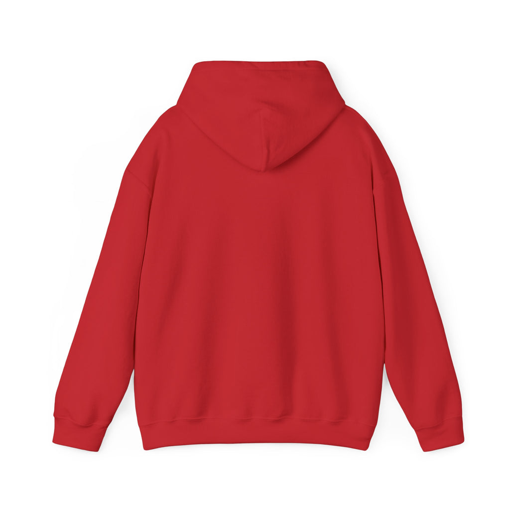 Hoodie — "Remember to... Kill the Pachys!" Pterosaur Graphic Hoodie