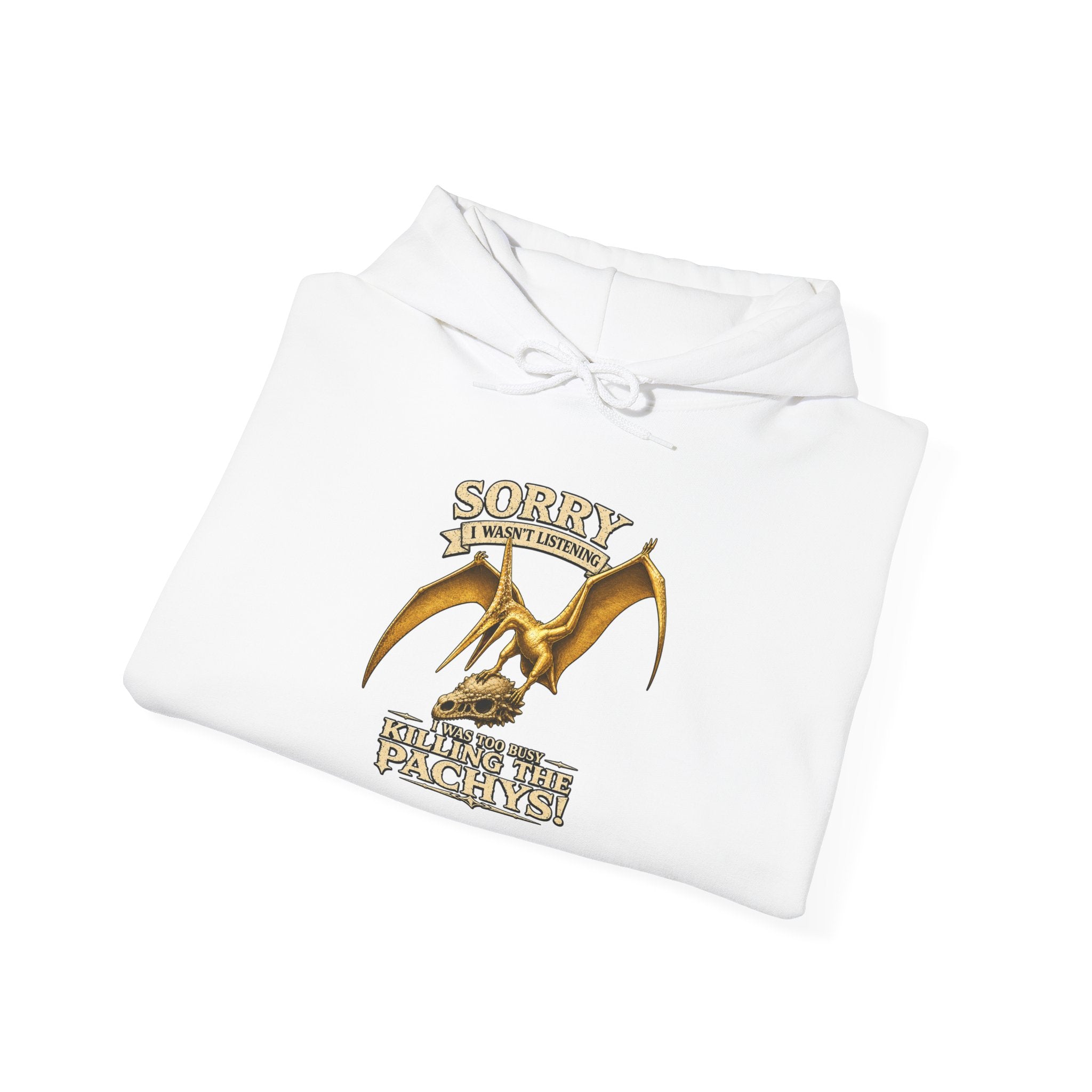 Sky Father Dragon Hoodie — "All Hail Sky Father" Graphic Hooded Sweatshirt