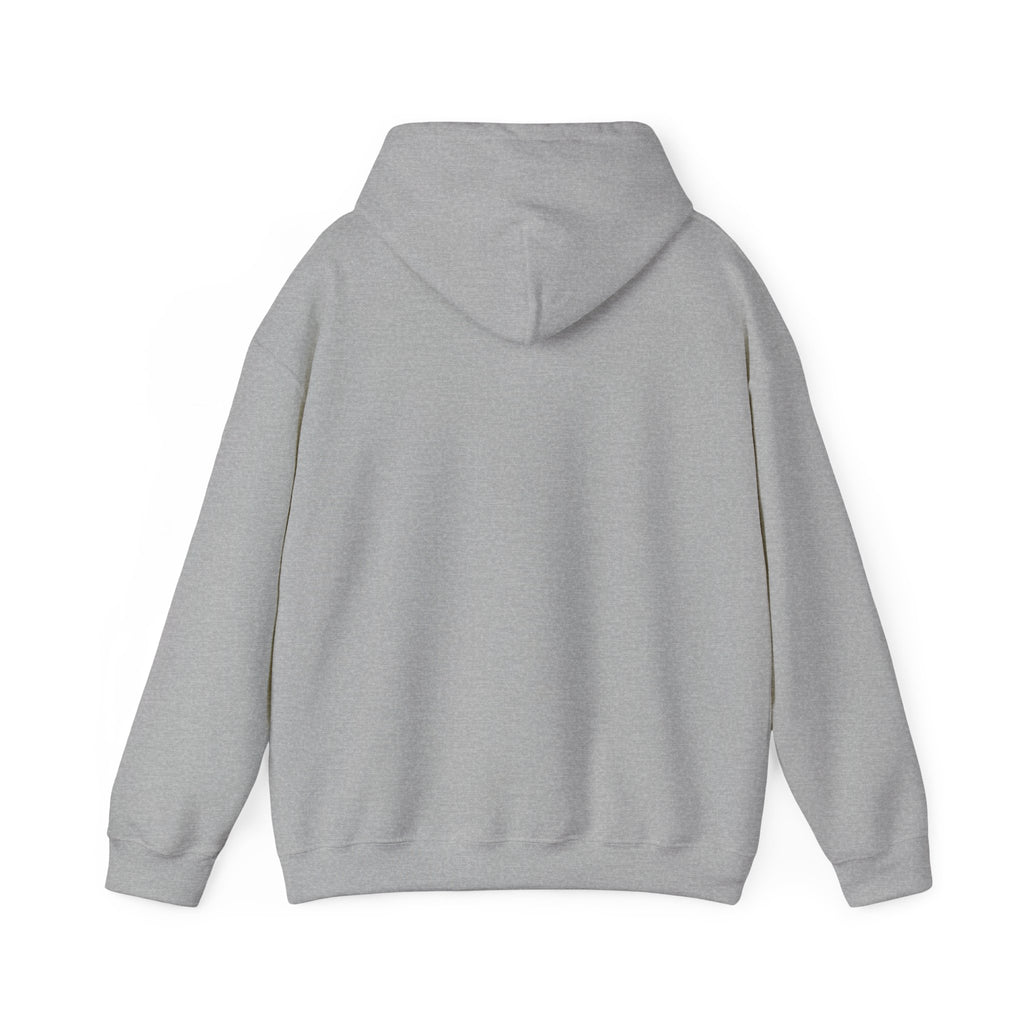 Hoodie — "Remember to... Kill the Pachys!" Pterosaur Graphic Hoodie