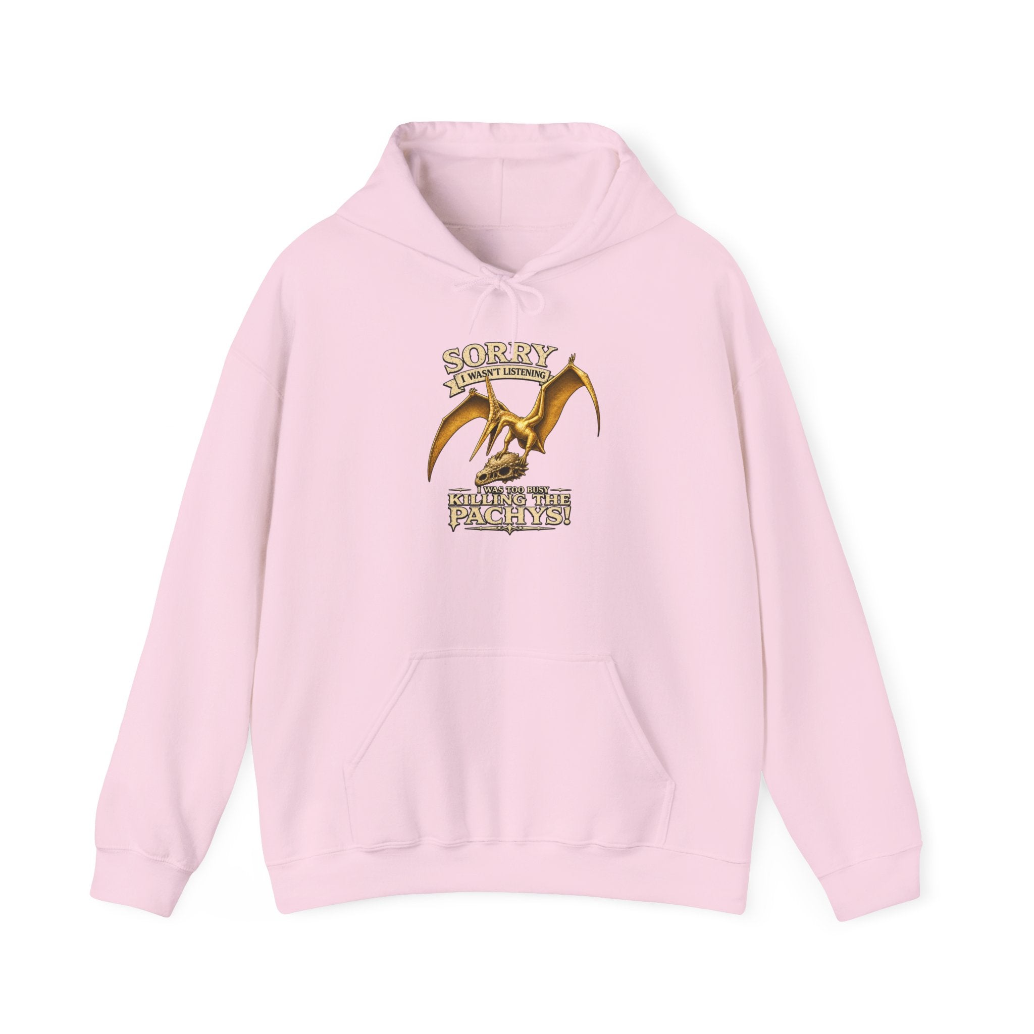 Sky Father Dragon Hoodie — "All Hail Sky Father" Graphic Hooded Sweatshirt