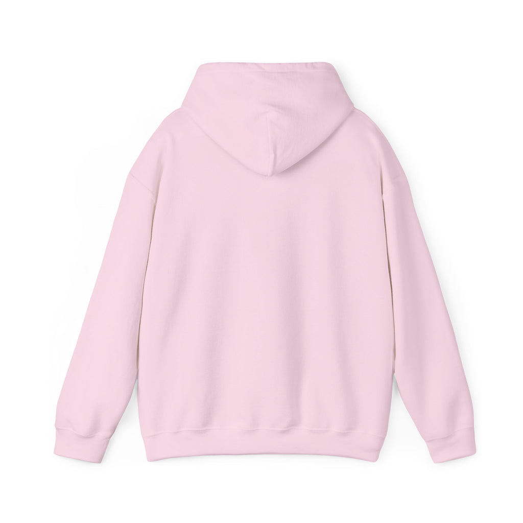 Hoodie — "Remember to... Kill the Pachys!" Sky Father Hoodie