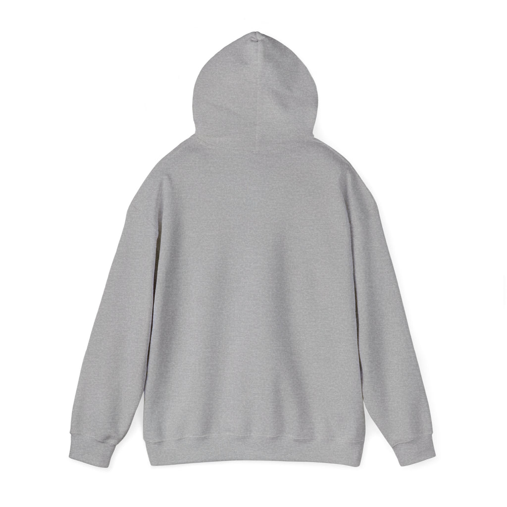 Hoodie — "Remember to... Kill the Pachys!" Pterosaur Graphic Hoodie