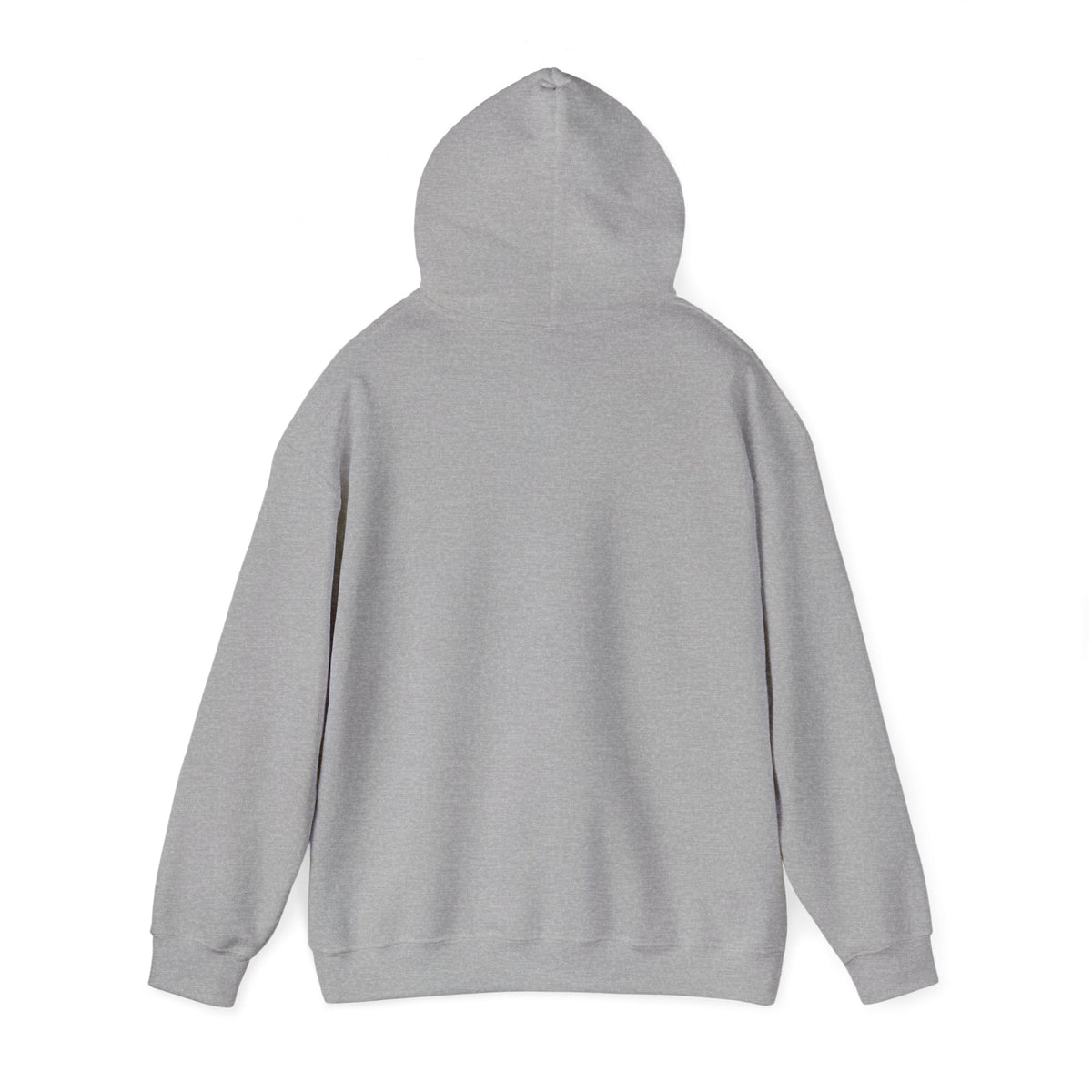 Hoodie — "Remember to... Kill the Pachys!" Pterosaur Graphic Hoodie