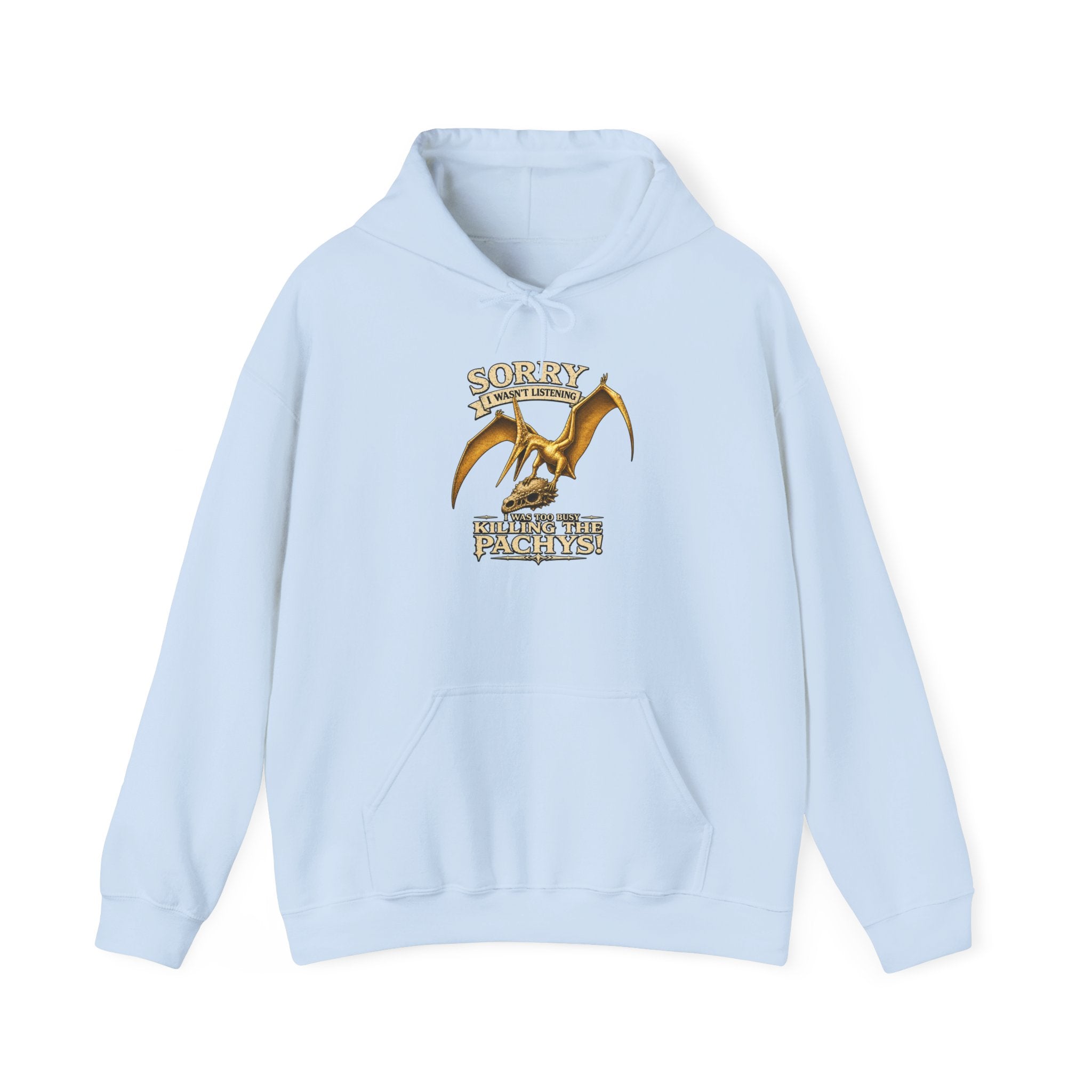 Sky Father Dragon Hoodie — "All Hail Sky Father" Graphic Hooded Sweatshirt