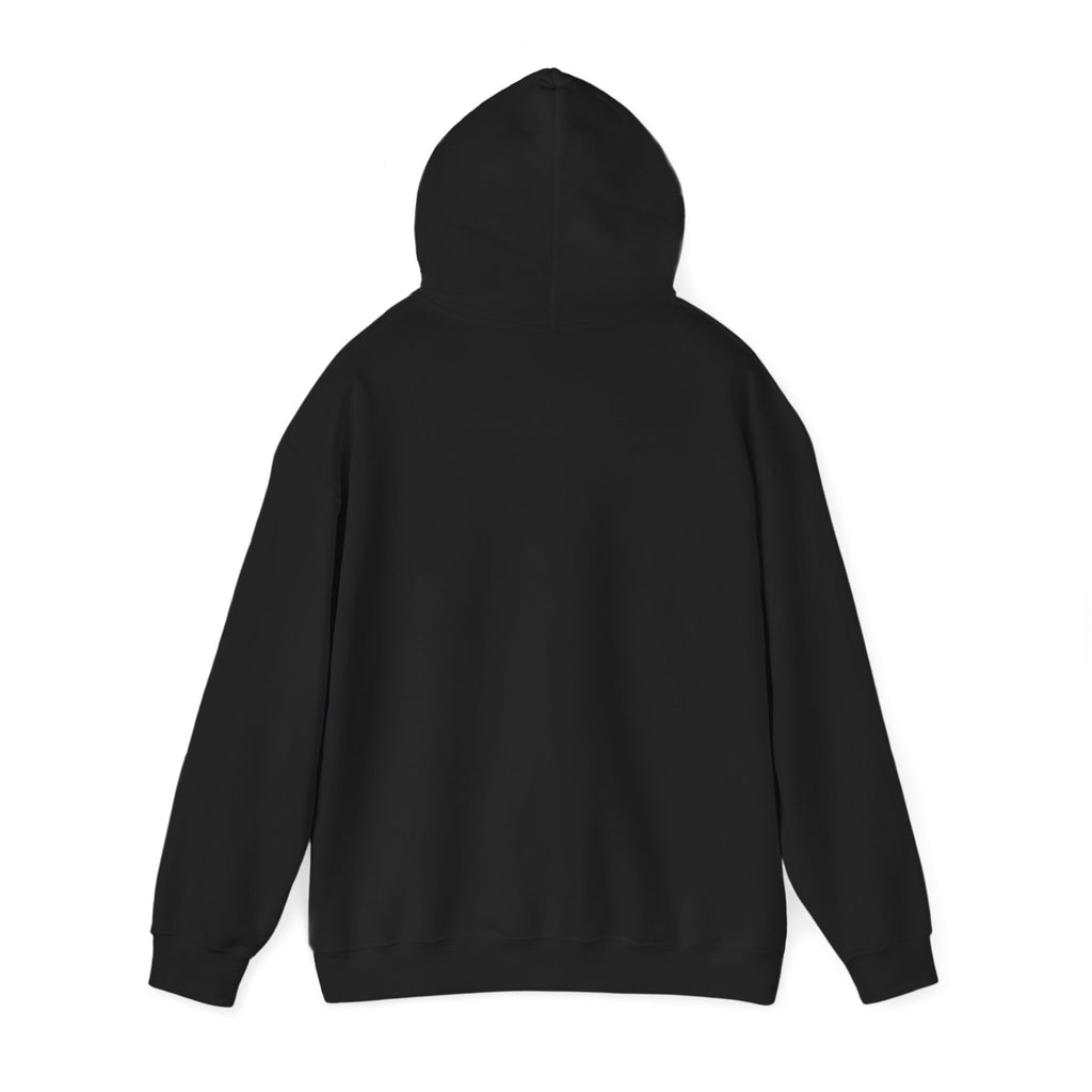Hoodie — "Remember to... Kill the Pachys!" Sky Father Hoodie