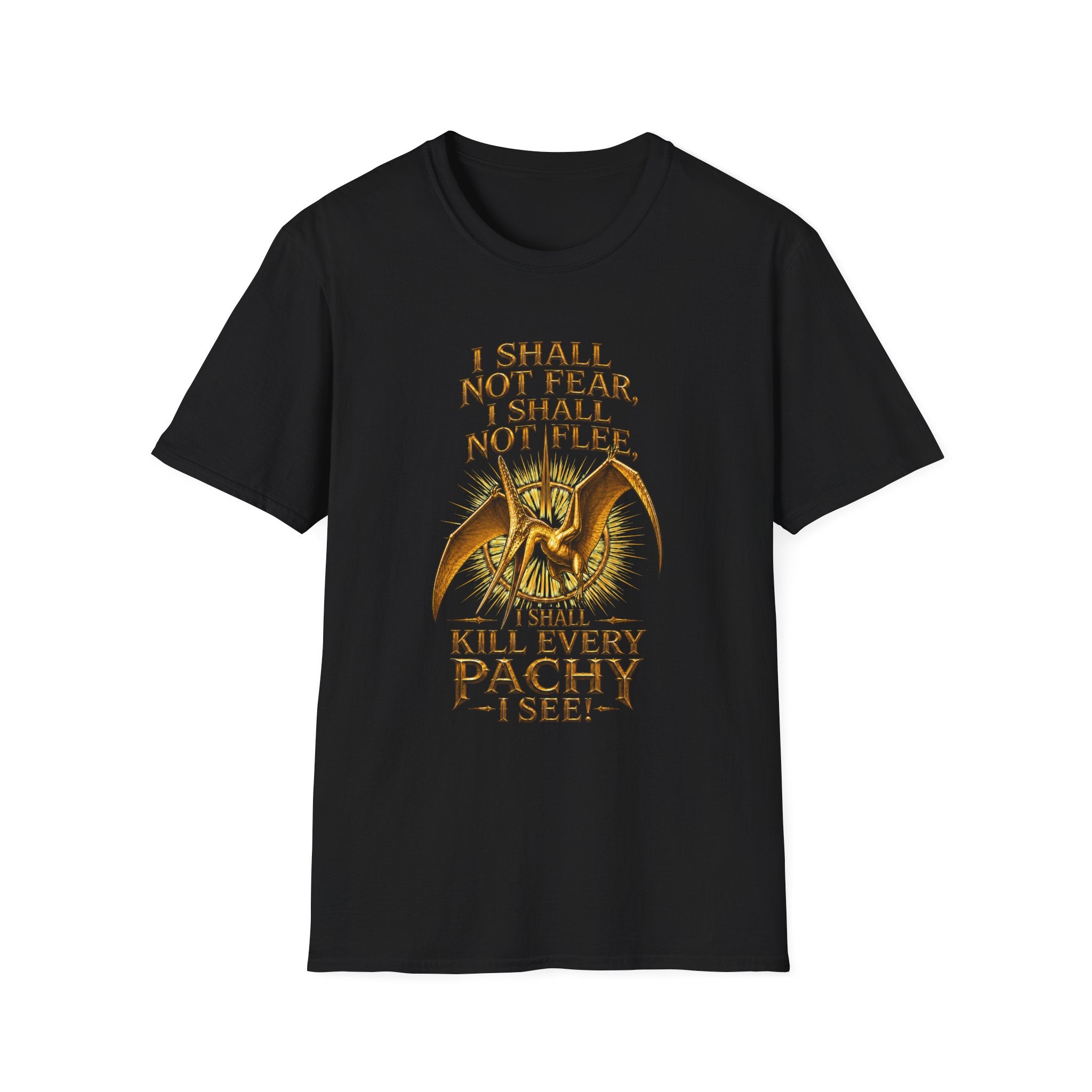 T-Shirt — “I Shall Not Fear, I Shall Not Flee” Sky Father Graphic Tee