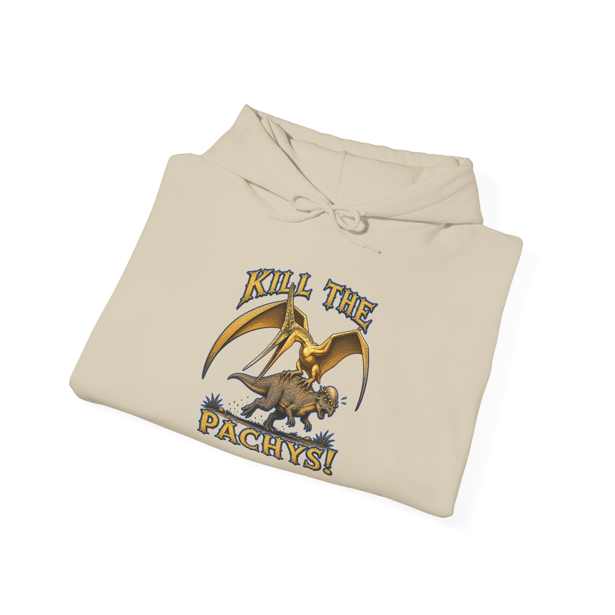Sky Father Graphic Hoodie — "Kill the Pachys! / All Hail Sky Father!" Retro Dino Streetwear