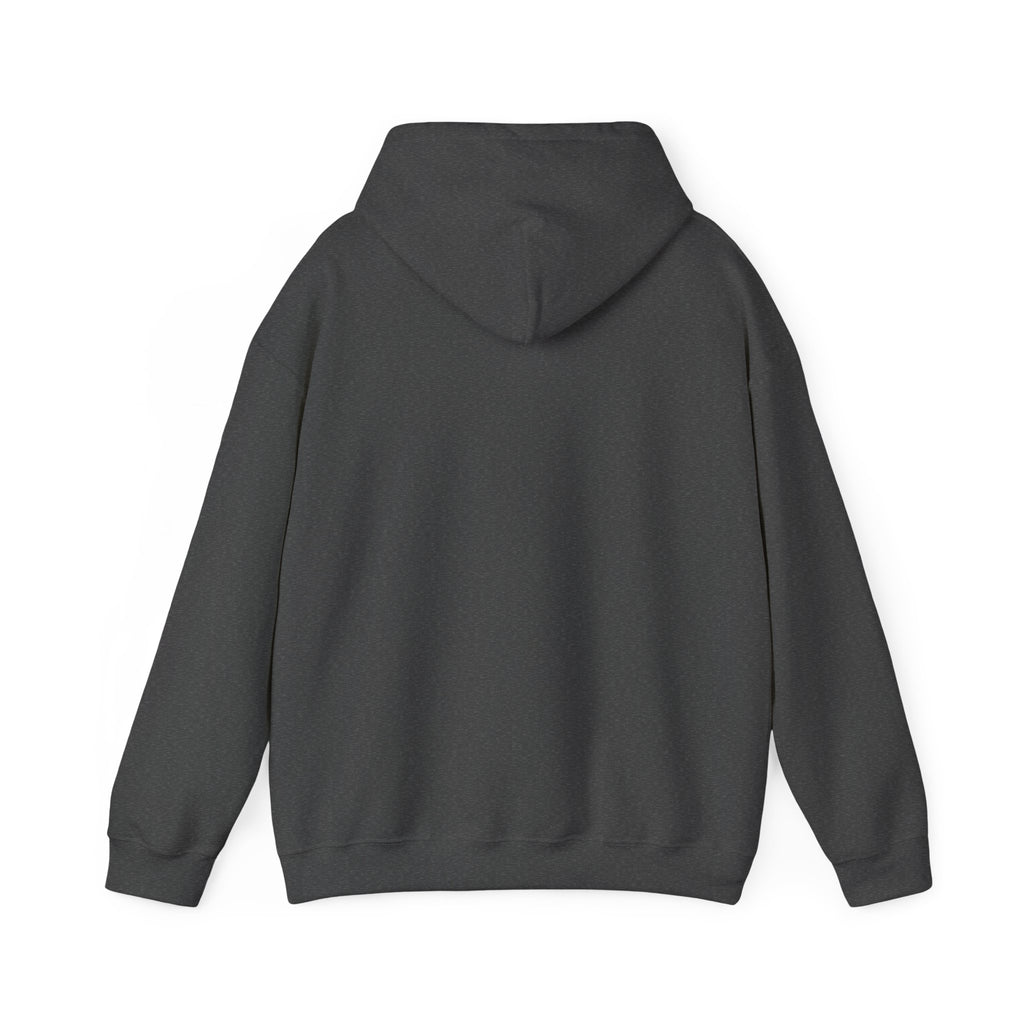 Hoodie — "Remember to... Kill the Pachys!" Sky Father Hoodie