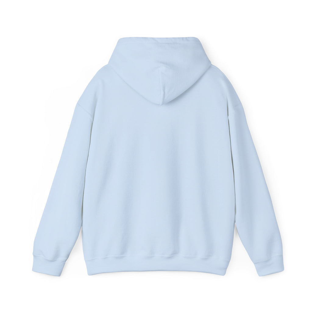 Hoodie — "Remember to... Kill the Pachys!" Pterosaur Graphic Hoodie
