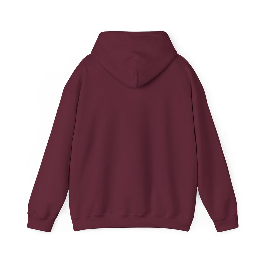 Hoodie — "Remember to... Kill the Pachys!" Sky Father Hoodie