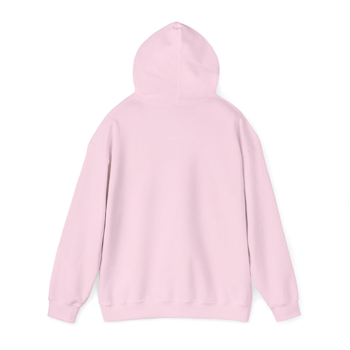 Hoodie — "Remember to... Kill the Pachys!" Pterosaur Graphic Hoodie