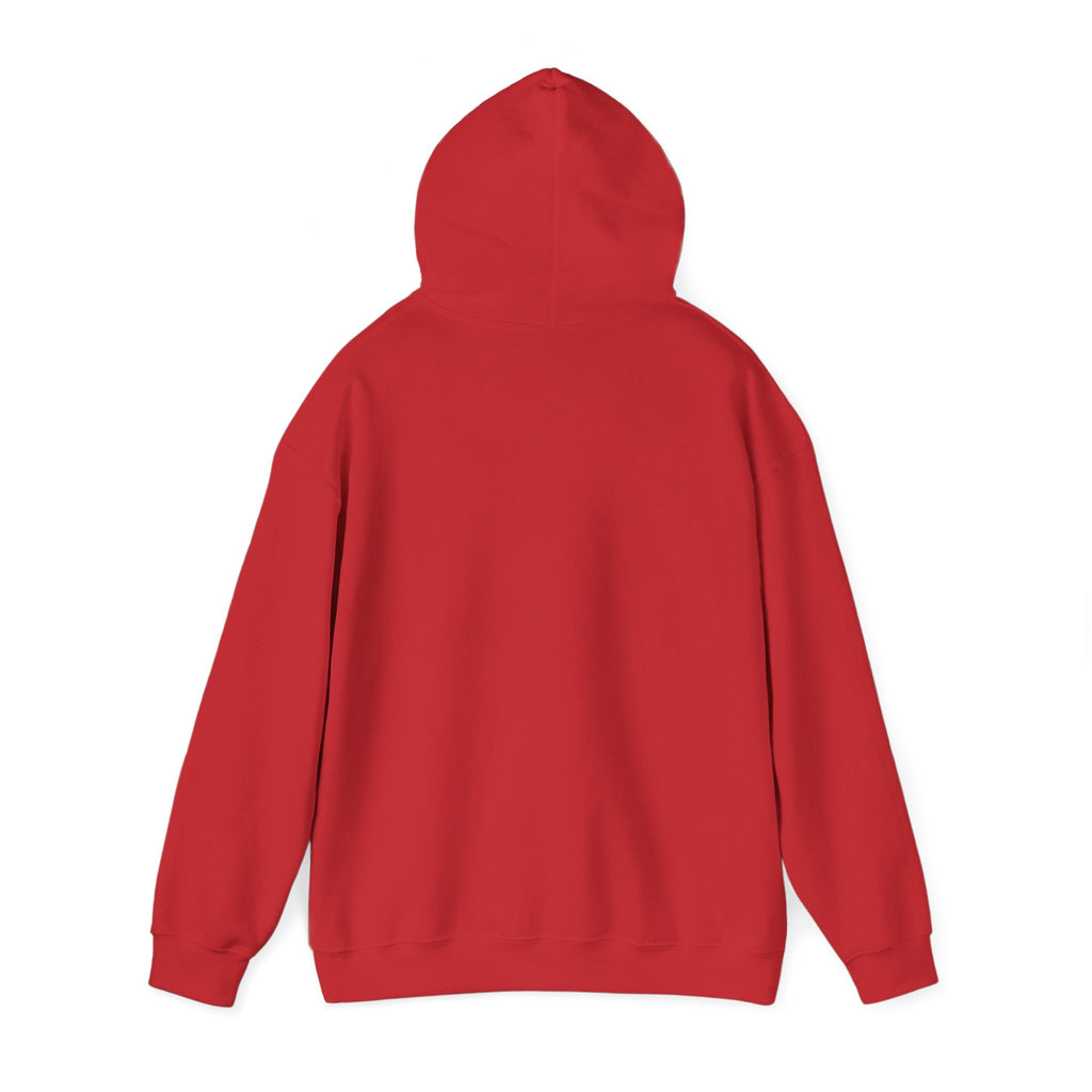 Hoodie — "Remember to... Kill the Pachys!" Pterosaur Graphic Hoodie