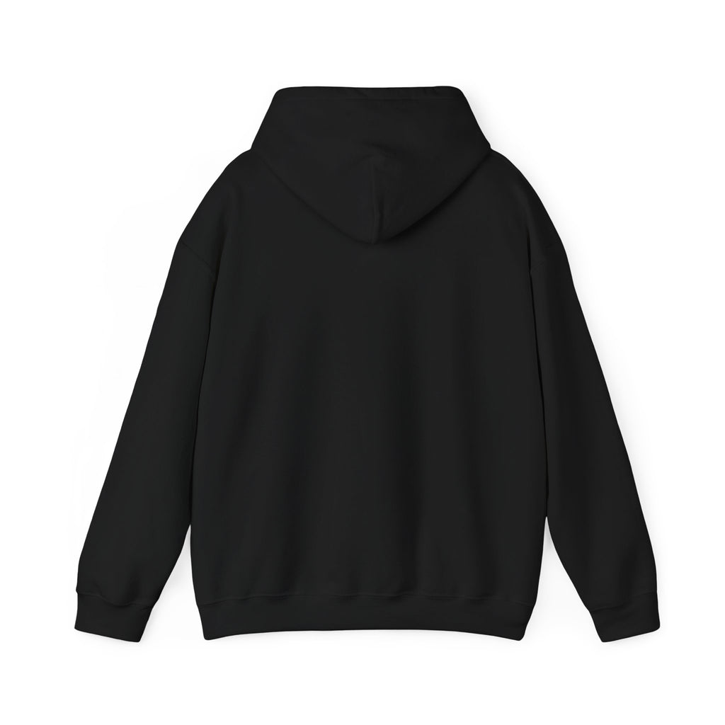 Hoodie — "Remember to... Kill the Pachys!" Sky Father Hoodie